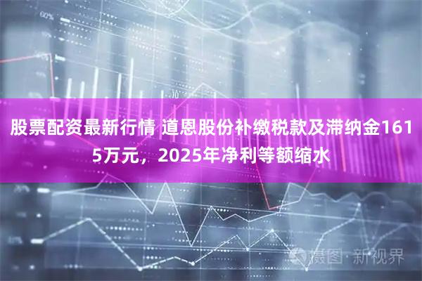 股票配资最新行情 道恩股份补缴税款及滞纳金1615万元，2025年净利等额缩水